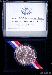 2001-D  American Buffalo Commemorative UNCIRCULATED Silver Dollar