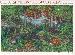 2005 Northeast Deciduous Forest 37 Cent US Postage Stamp Unused Sheet of 10 Scott #3899