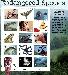 1996 Endangered Species 32 Cent US Postage Stamp MNH Sheet of 15 Scott #3105