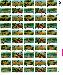 1985 International Youth Year 22 Cent US Postage Stamp MNH Sheet of 50 Scott #2160-2163