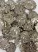 90% U.S. Silver Washington Quarters - Pre 1965 - $1 Face Value Lots